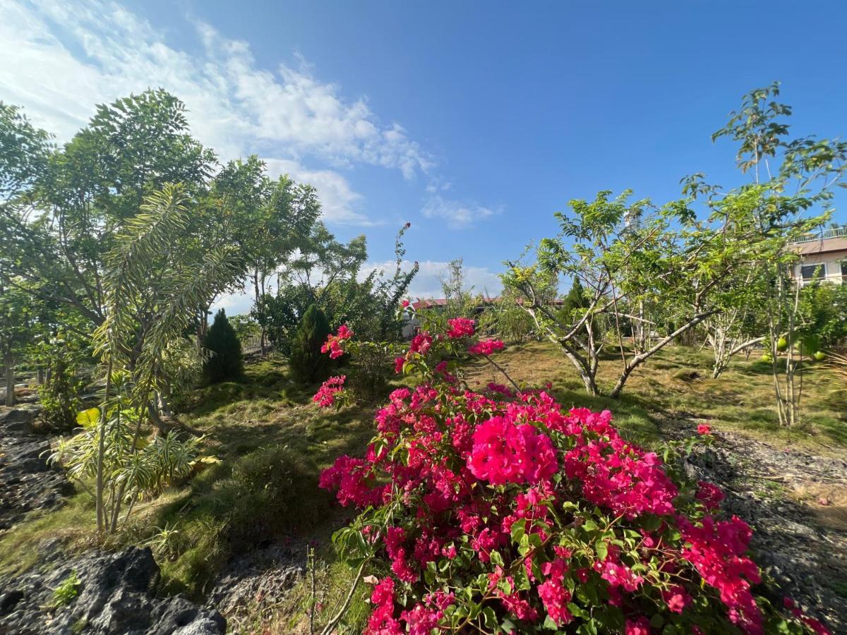 La Plumerias Moalboal Extérieur photo