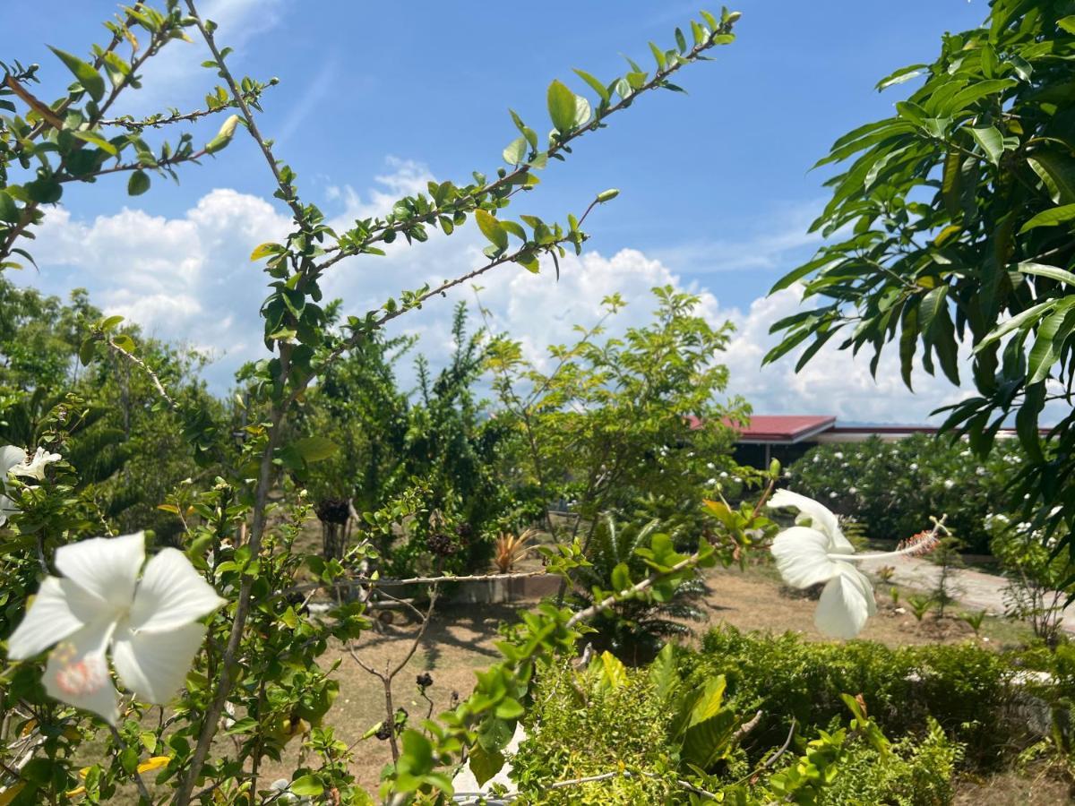 La Plumerias Moalboal Extérieur photo