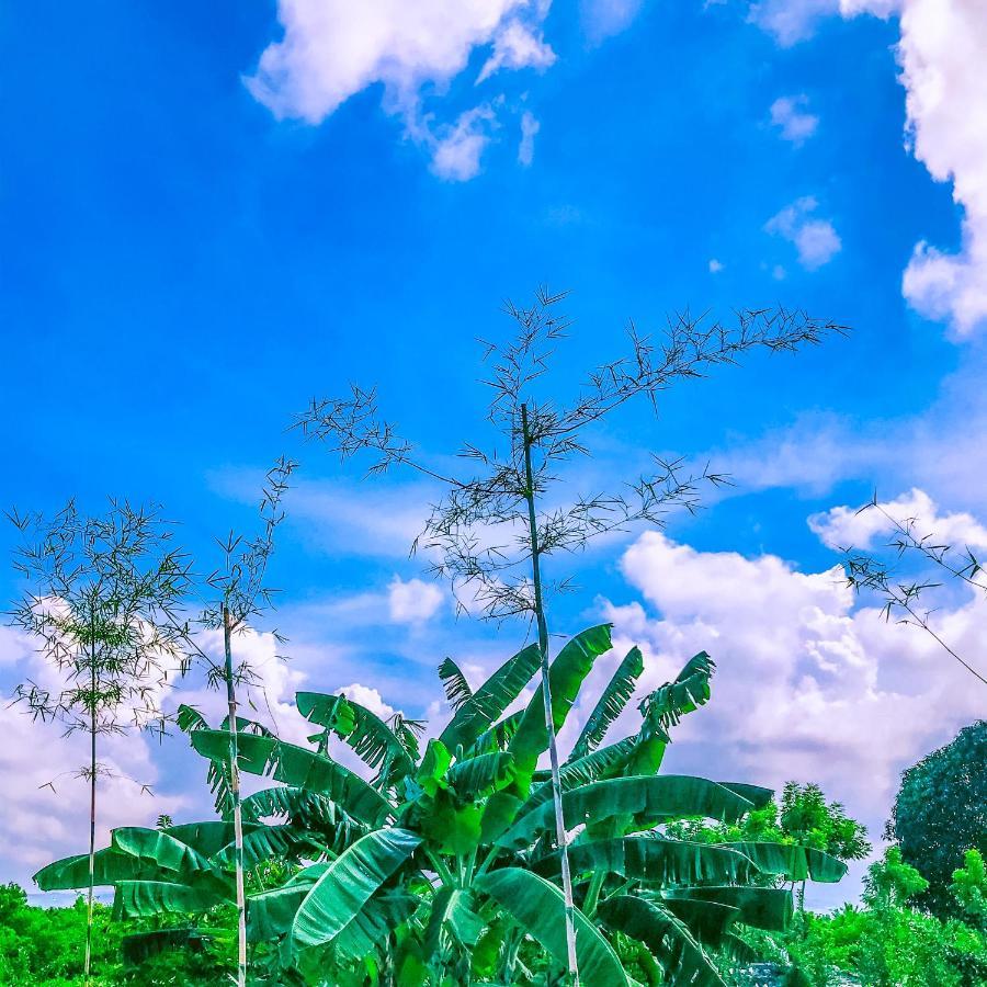 La Plumerias Moalboal Extérieur photo